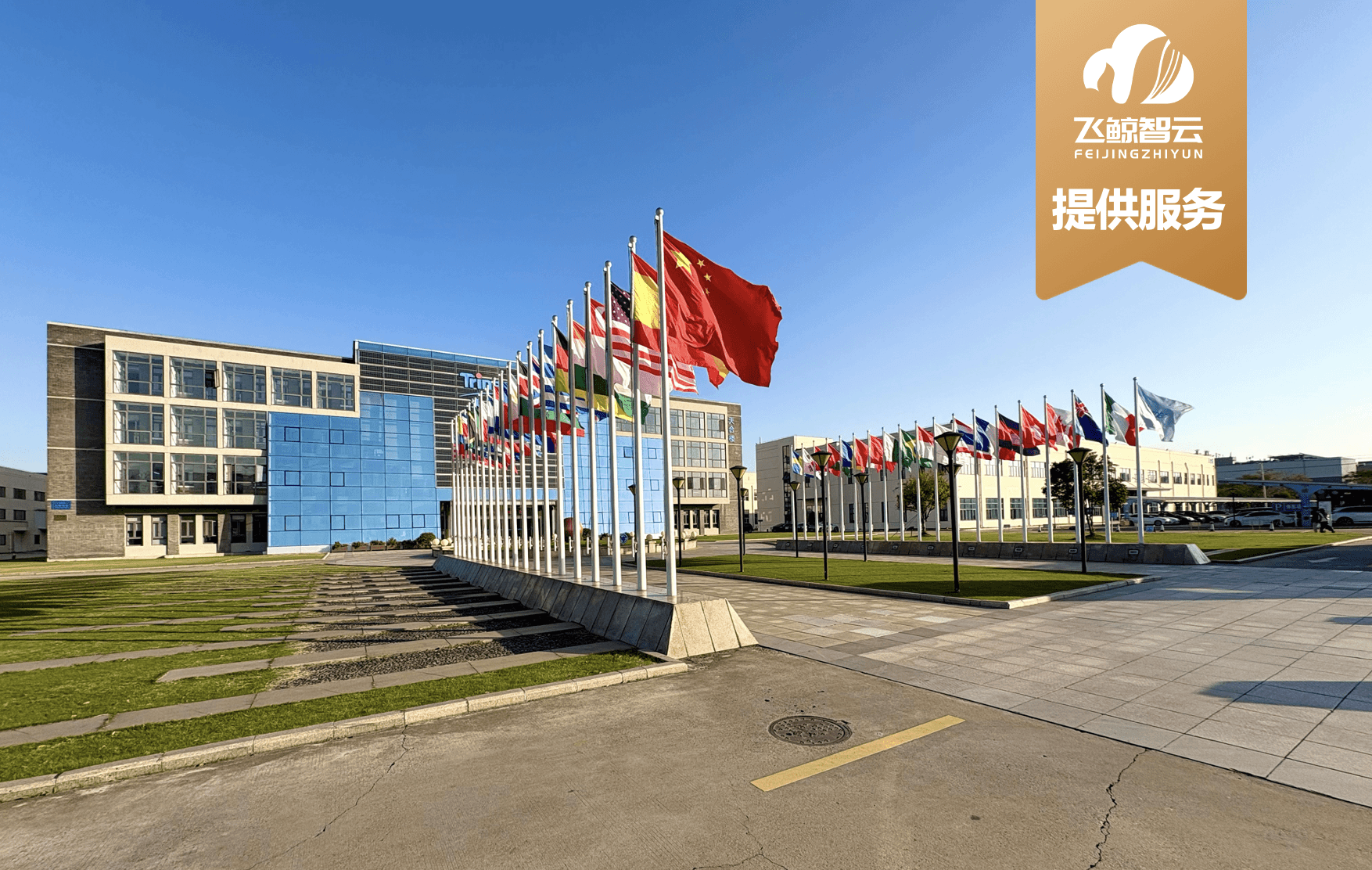 北京飞鲸智云科技有限公司服务案例