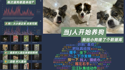 🐶狗狗陪伴养护系统