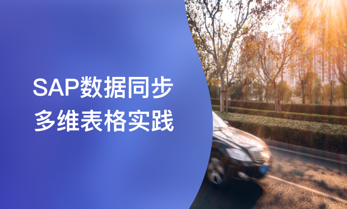 SAP数据同步多维表格实践