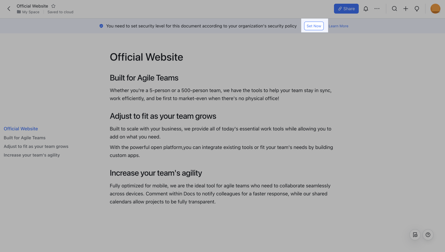 Set Security Levels For Documents