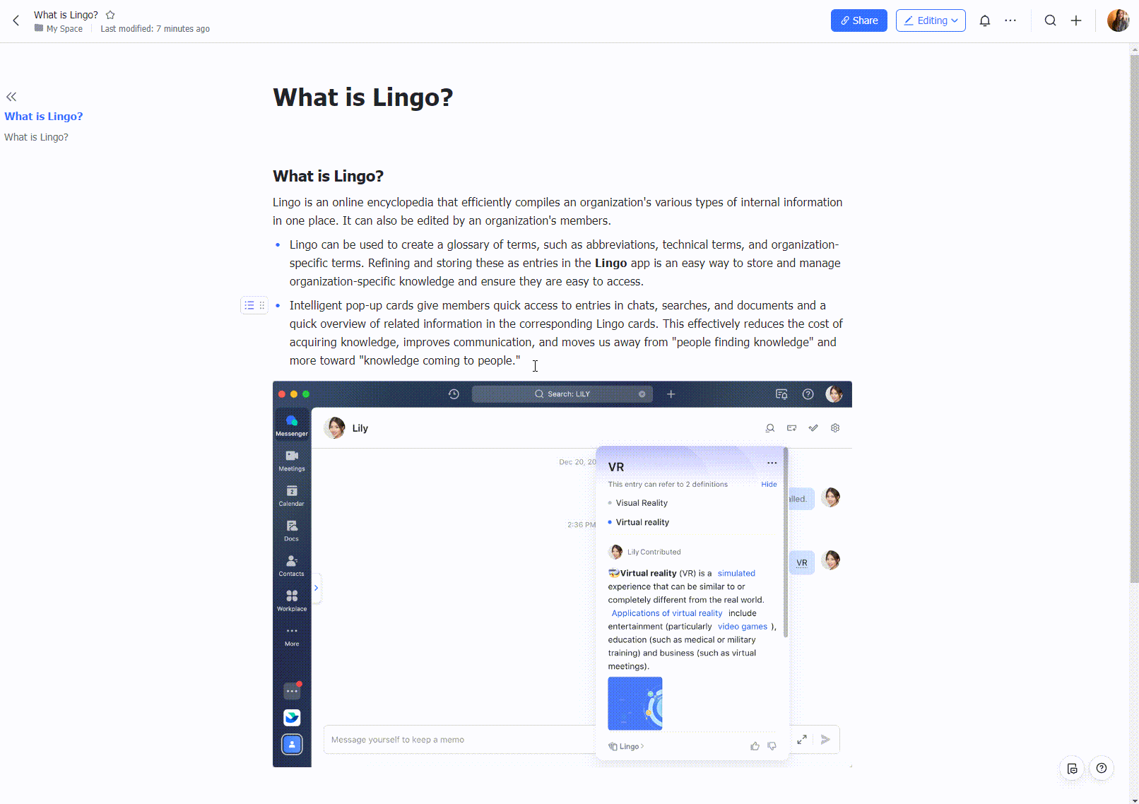 use-lingo-in-docs